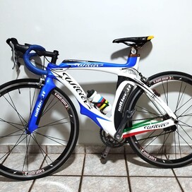 Willier Triestina Carbon